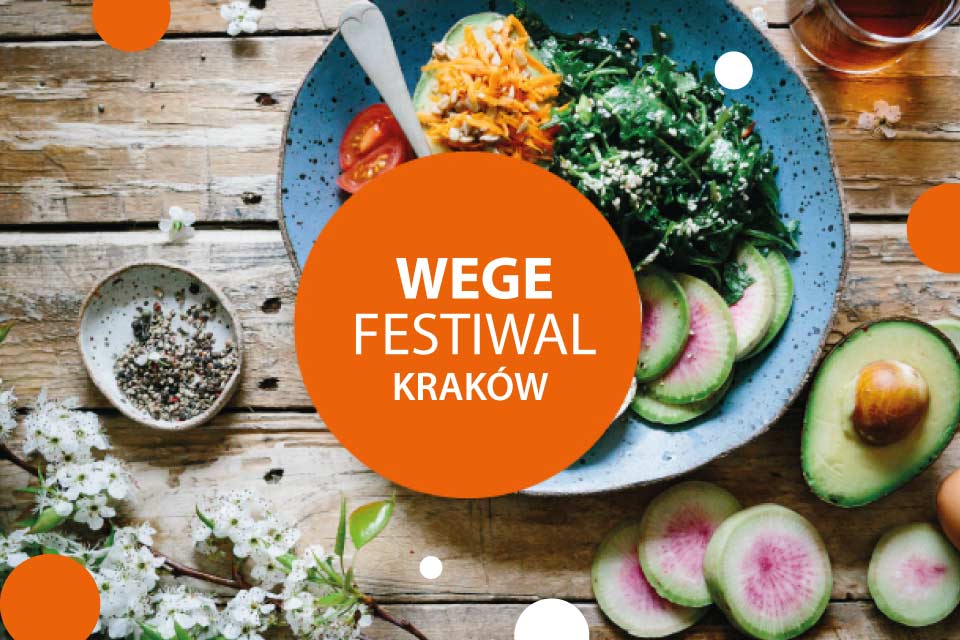 Wege Festiwal Kraków - Piknik