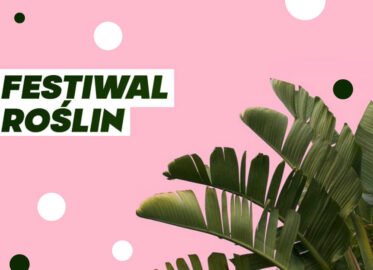 Świąteczna Wyprzedaż Festiwalu Roślin w Krakowie