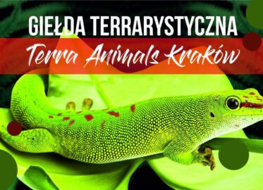 Terra Animals | targi