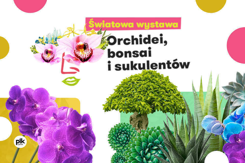 Światowa Wystawa Orchidei, Bonsai i Sukulentów w Krakowie