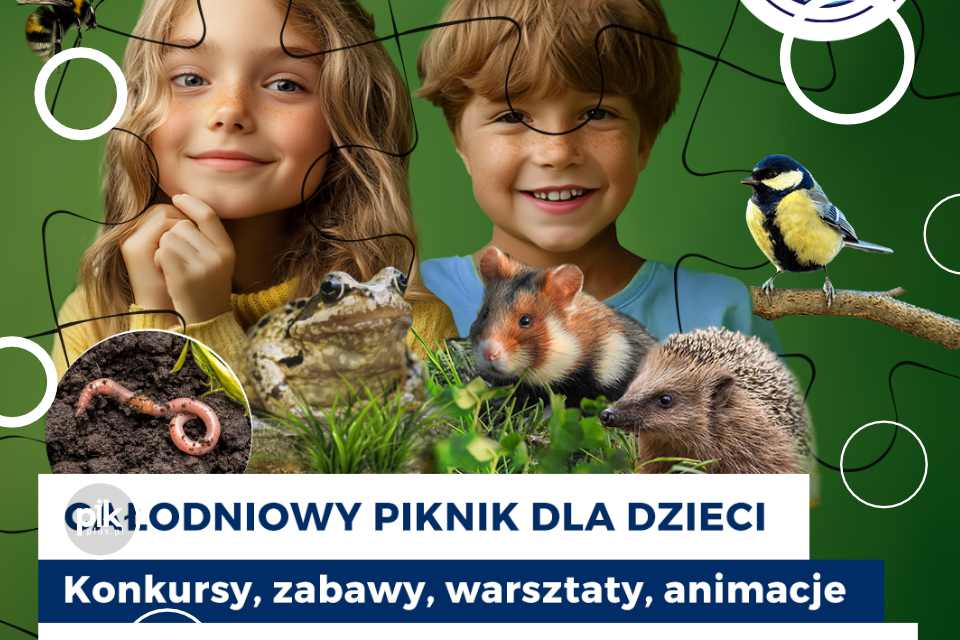 Piknik rodzinny w Ogrodzie Doświadczeń