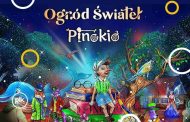 Garden of Lights - Pinokio | Ogród Świateł w Krakowie