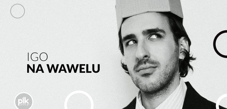 Igo na Wawelu - koncert