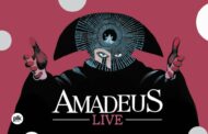 Amadeus Live | Sylwester 2025/2026 w Krakowie
