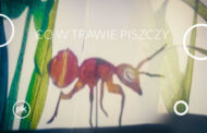 Co w trawie piszczy | spektakl