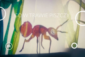 Co w trawie piszczy - Teatr Figurki