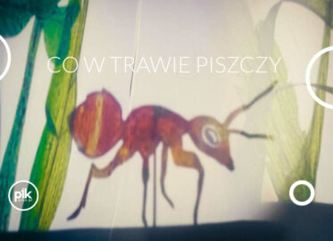 Co w trawie piszczy | spektakl