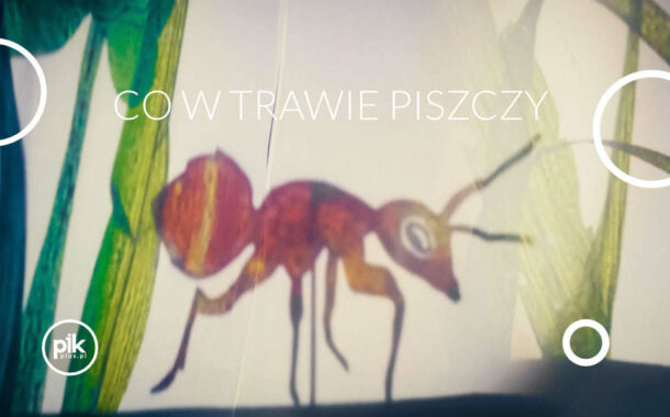 Co w trawie piszczy | spektakl