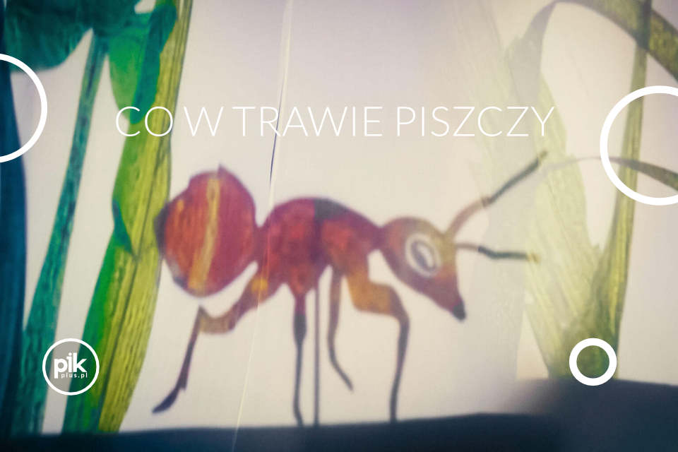 Co w trawie piszczy | spektakl